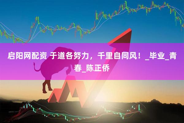 启阳网配资 于道各努力，千里自同风！_毕业_青春_陈正侨