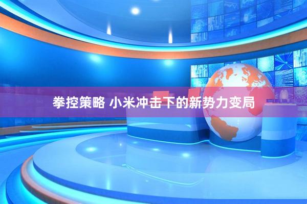 拳控策略 小米冲击下的新势力变局