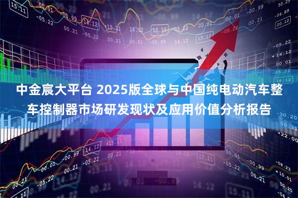 中金宸大平台 2025版全球与中国纯电动汽车整车控制器市场研发现状及应用价值分析报告