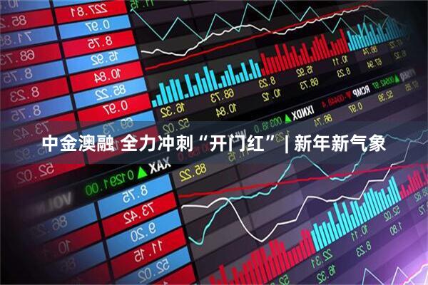 中金澳融 全力冲刺“开门红” | 新年新气象